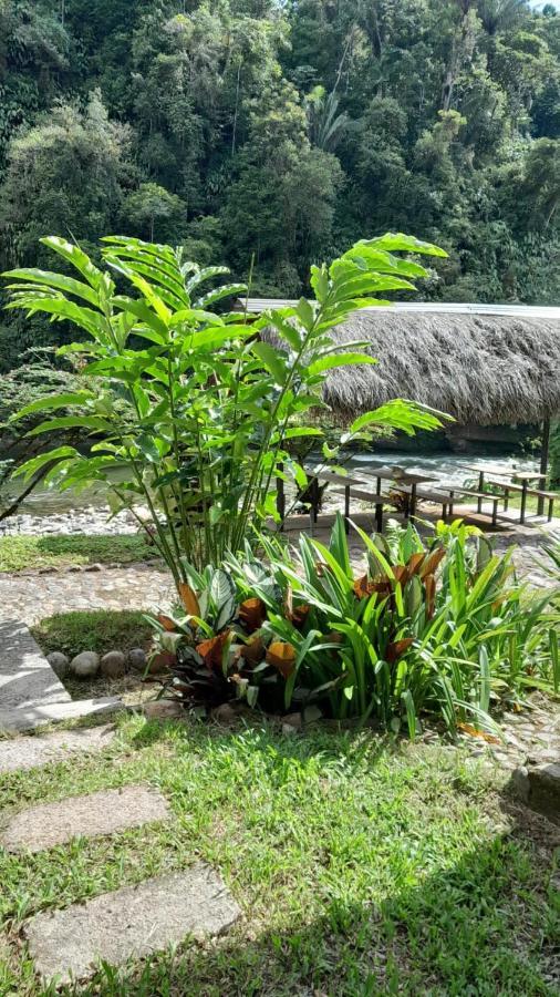Playaselva Reserva Biologica Archidona Zewnętrze zdjęcie